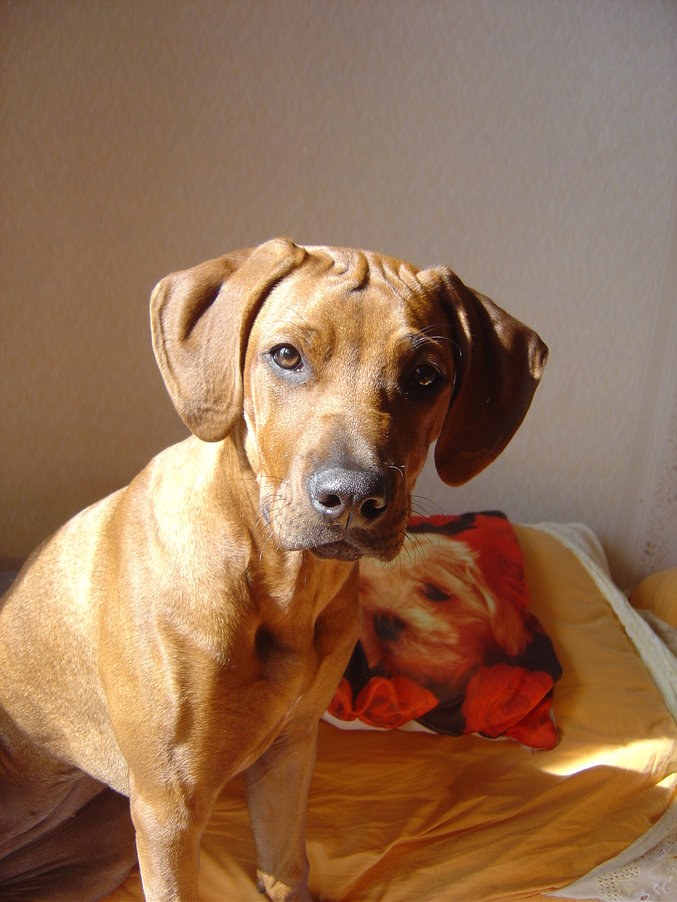 Tunisko březen 2006 135.jpg