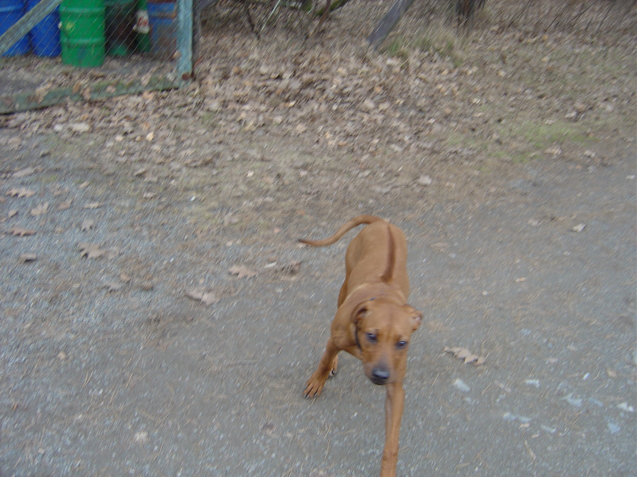 Tunisko březen 2006 171.jpg