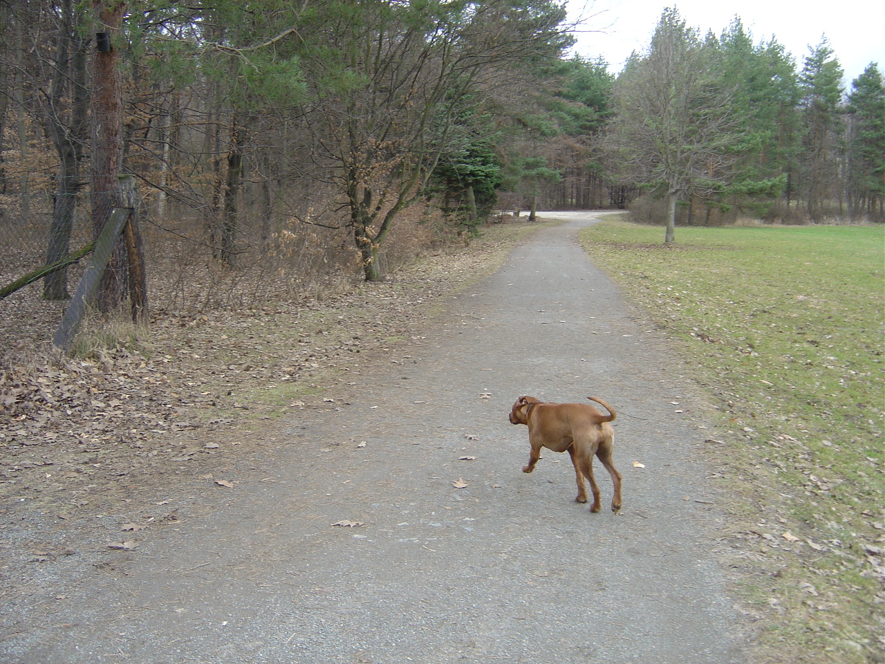 Tunisko březen 2006 170.jpg