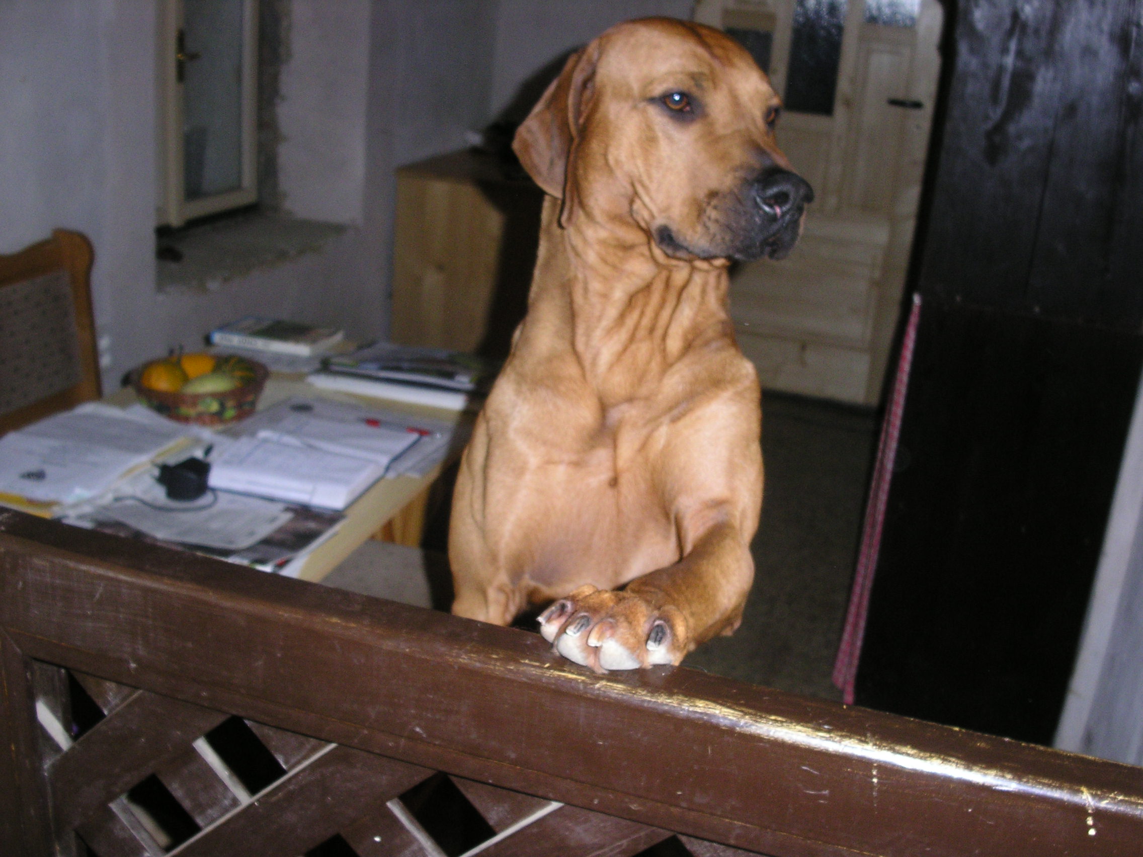 PICT3316.JPG